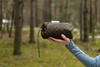 Tarp Lesovik Groza Walnut Brown