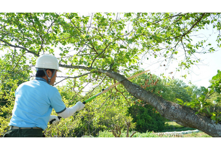 Silky Katanaboy 650-4 Folding Saw