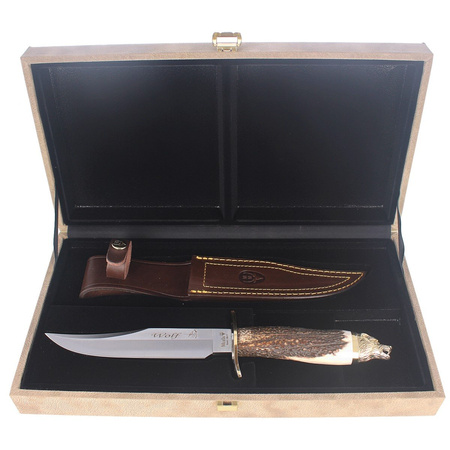 Muela Deer Stag 160mm Hunting Knife, Gift Box (WOLF-16A)