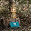 Pressure kerosene lamp - Petromax HK500 Chrome (829/500)