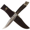 Muela Deer Stag 160mm Hunting Knife, Gift Box (BUFFALO-16BF)