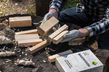 Set of 10 linden wood blocks for carving - BeaverCraft BW10