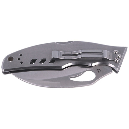 Spyderco Byrd Crossbill Stainless, Combination Folding Knife (BY07PS)