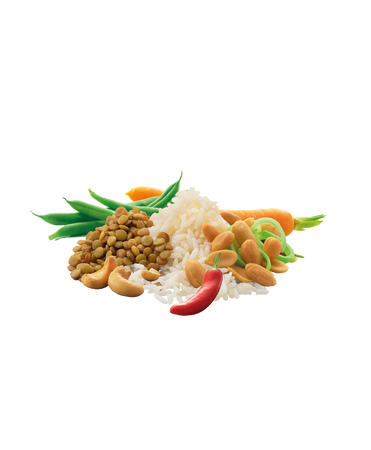Adventure Food - Freeze-dried Rice with cashews vege 600 kcal