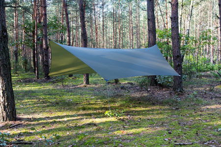 Tarp Lesovik Heksa Mayfly green