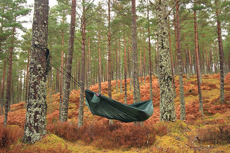 DD Hammocks Camping Hammock - Olive