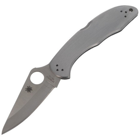 Spyderco Delica 4 Stainless Steel Plain Folding Knife (C11P)