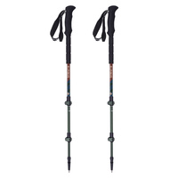 Alpinus - Matterhorn trekking poles - green-brown