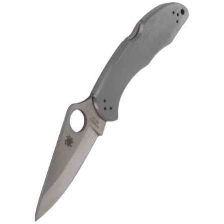 Spyderco Delica 4 Stainless Steel Plain Folding Knife (C11P)