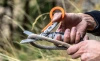 Leatherman Raptor Rescue Black and Blue multitool (833066) - 6 tools