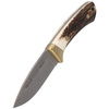 Muela Colibri Full Tang Deer Stag 70mm Knife (COL-7A)